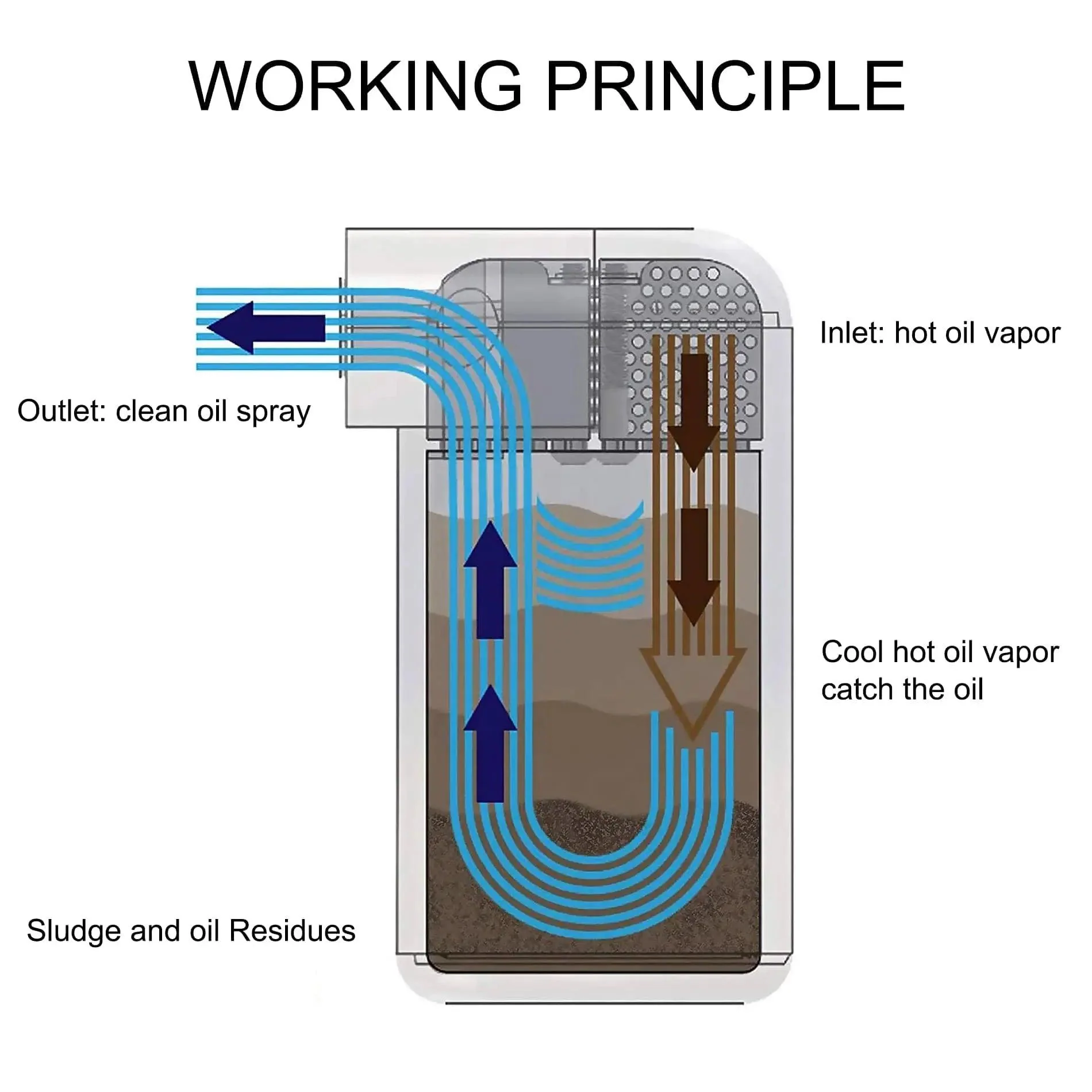 EVIL ENERGY Baffled Oil Catch Can Oil Separator Catch Can 300ml Universal Aluminum Black - Image 12
